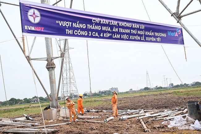 Thấm đẫm mồ hôi NLĐ trên công trình đường dây 500kV mạch 3 Quảng Trạch - Phố Nối (19/06/2024)